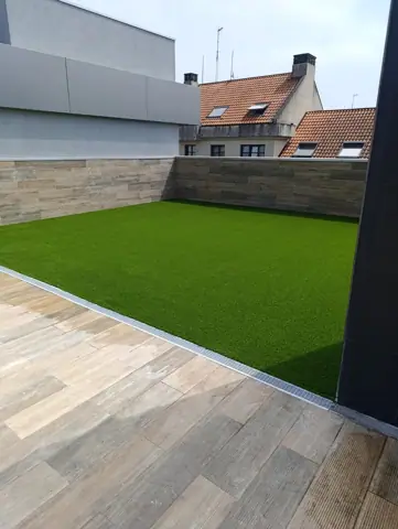 Trabajo de exterior realizado por REFEX